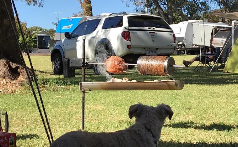 This is a picture of a spit roast while caravanning. You can see the auspit gold stainless steel rotisserie cooking vegies and a roast over a firetray filled with hot coals in a caravan park and a hungry puppy looking at the meat waiting for a feed. 